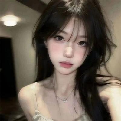 南极洲:冰上的一年